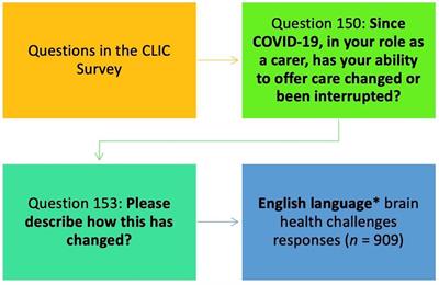 Changes and interruptions during COVID-19: caregivers of people with brain health challenges—A qualitative analysis